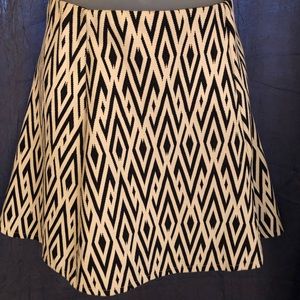 A Line Mini Skirt Zara